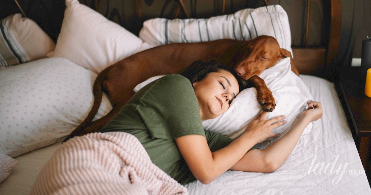 Сон із собакою чи котом — як спільне ліжко впливає …