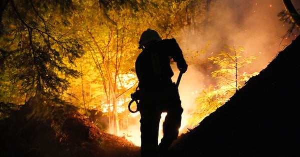 Сотні рятувальників з трьох областей України гасять масштабну пожежу в …