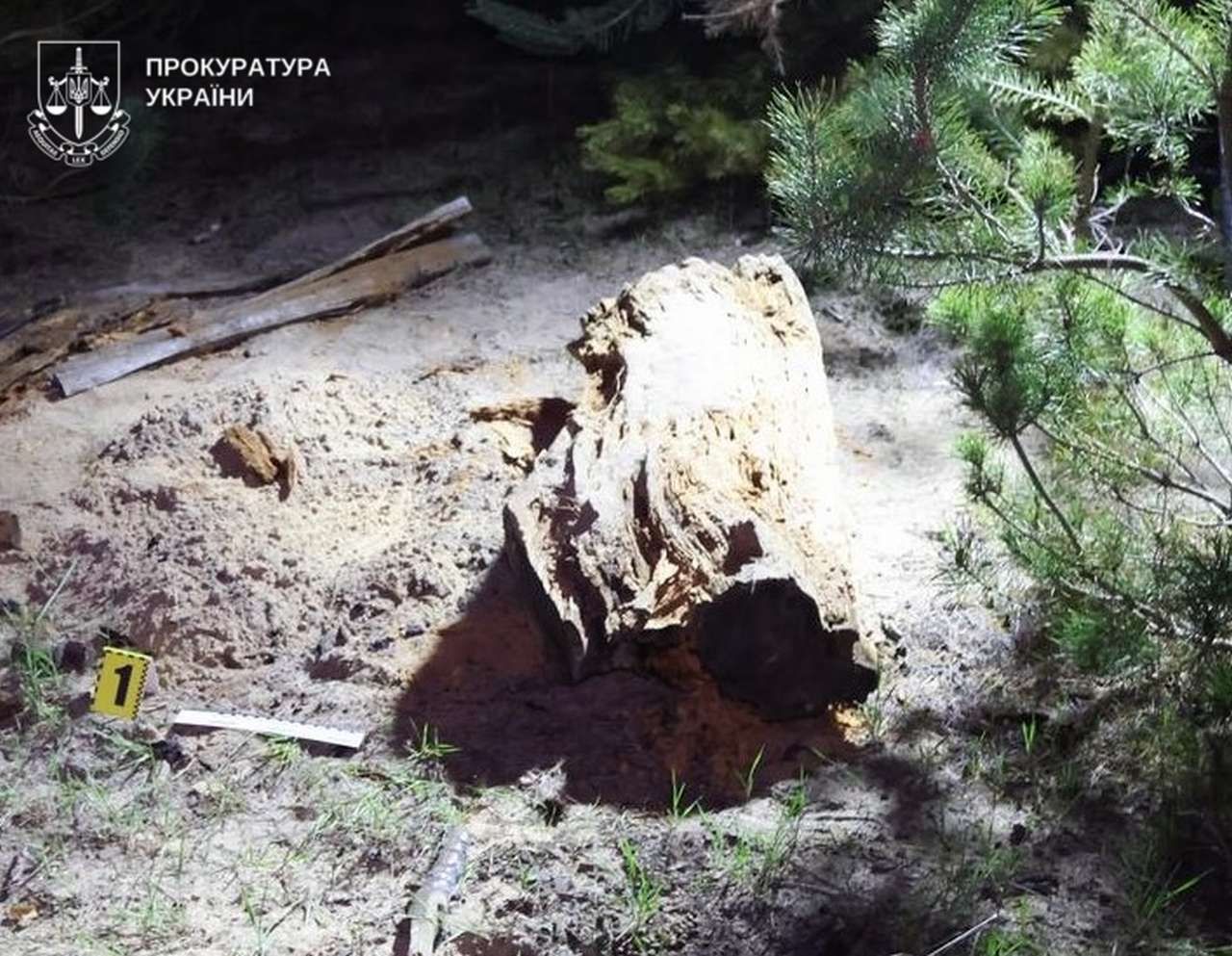 Спалив тіло сина: суд заарештував докази вбивства дитини під Полтавою