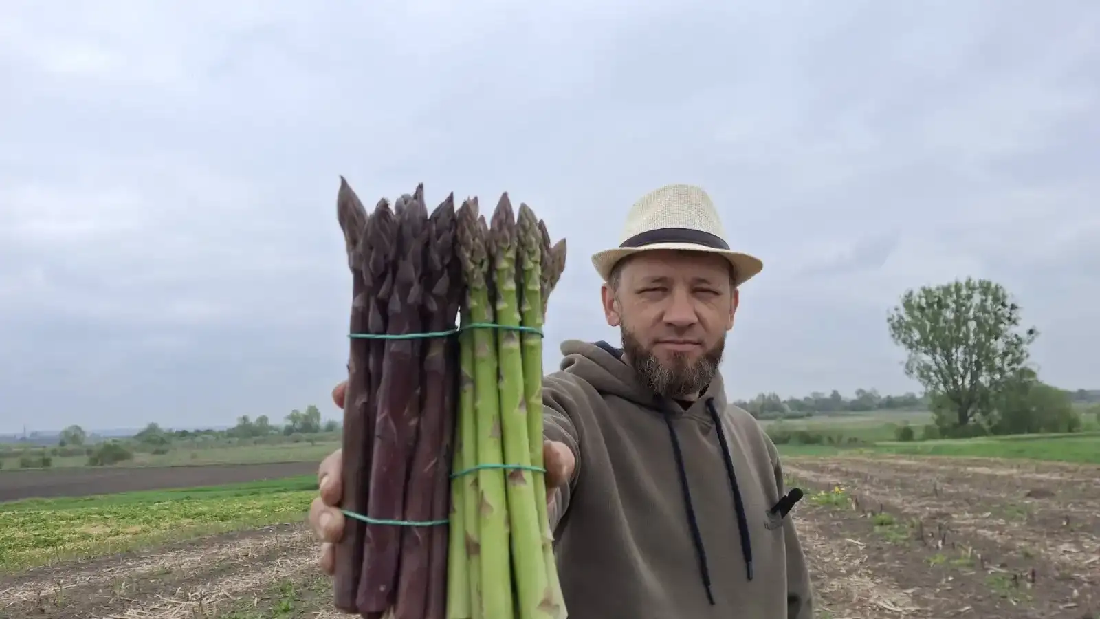 «Спаржа любить догляд»: фермер із Рівненщини про вирощування популярного овочу