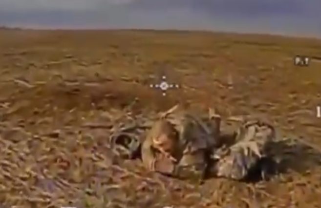 Спецпризначенці СБУ знищили штурмовий взвод окупантів