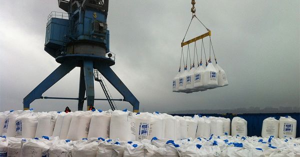 Споживання добрив в Україні скоротиться, але врожайність залишиться високою — …