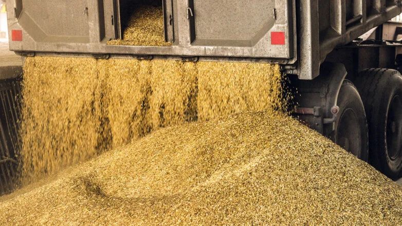 Ставки на автоперевезення помітно зросли, серед вантажів з’явилася соя