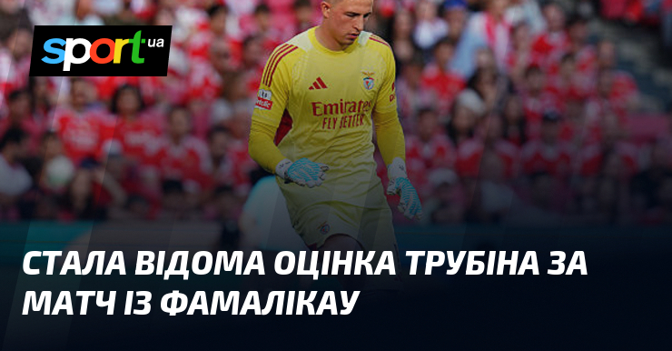 Стала відома оцінка Трубіна за матч із Фамалікау