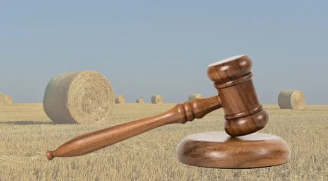 Стартова ціна земельних торгів: як правильно розрахувати