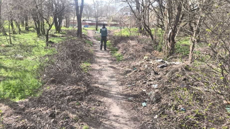 Сміттєву "алею” знайшли в приватному секторі Запоріжжя
