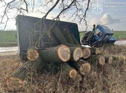 Судитимуть жителя Ніжинського району за незаконну порубку дерев