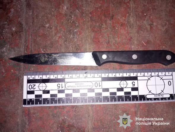 Суд арештував жительку Вінниччини, яку підозрюють у нападі на неповнолітню …