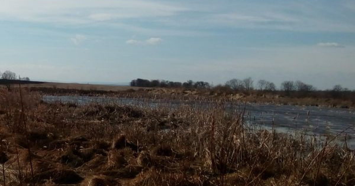 Суд повернув селищній раді на Львівщині ділянку з озером площею …