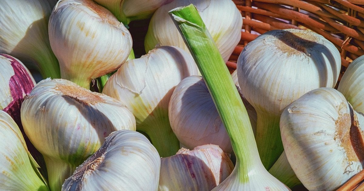 Топ продуктів, що розчиняють тромби