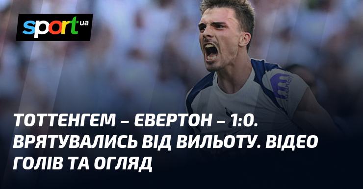 Тоттенгем – Евертон – 1:0. Врятувались від вильоту. Відео голів …