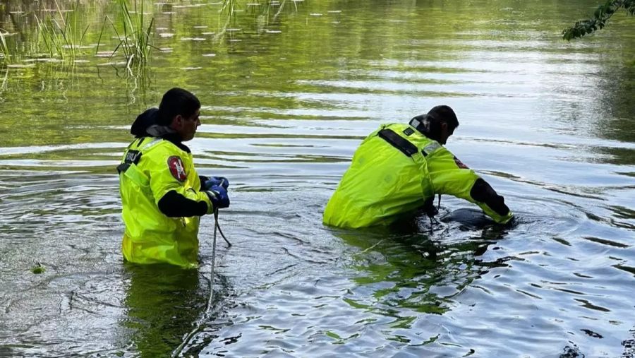 Трагедія на Франківщині: рятувальники дістали з річки тіло літньої жінки …