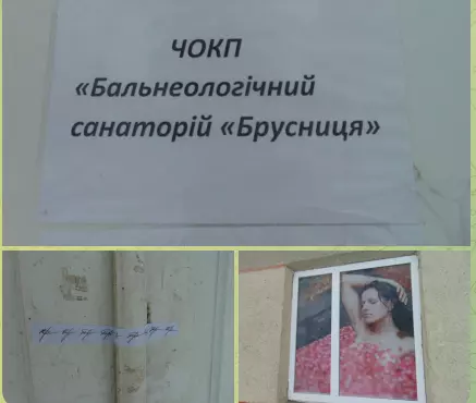 «Треба розібратися»: чому депутати Чернівецької облради відклали рішення по «Брусниці»
