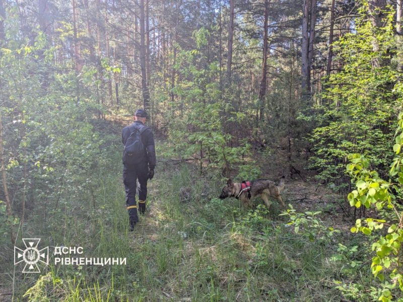 Тривають пошуки зниклого пенсіонера з Вараша (ФОТО)