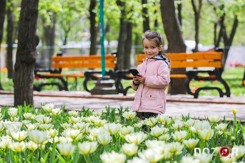 Тюльпани розквітли, фазани гуляють: травень у дендропарку Кропивницького (ФОТО)