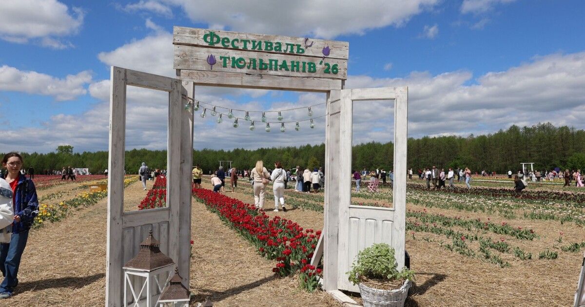 Тюльпанове поле для матерів загиблих захисників : 225 лучанок відвідали …