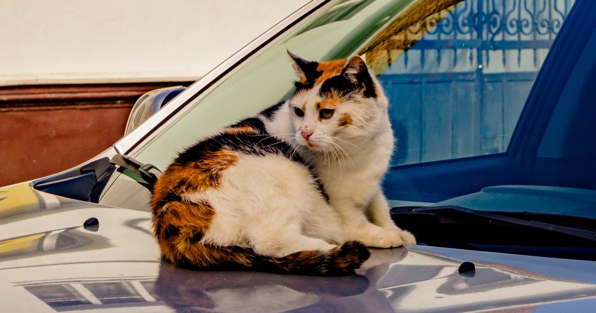 У Луцьку зафіксували рекордно низьку температуру