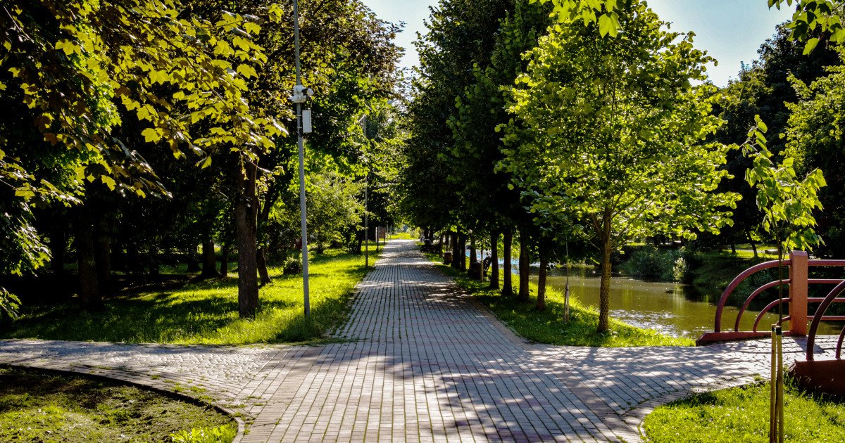 У Луцьку видалять аварійні дерева у зоологічних заповідниках