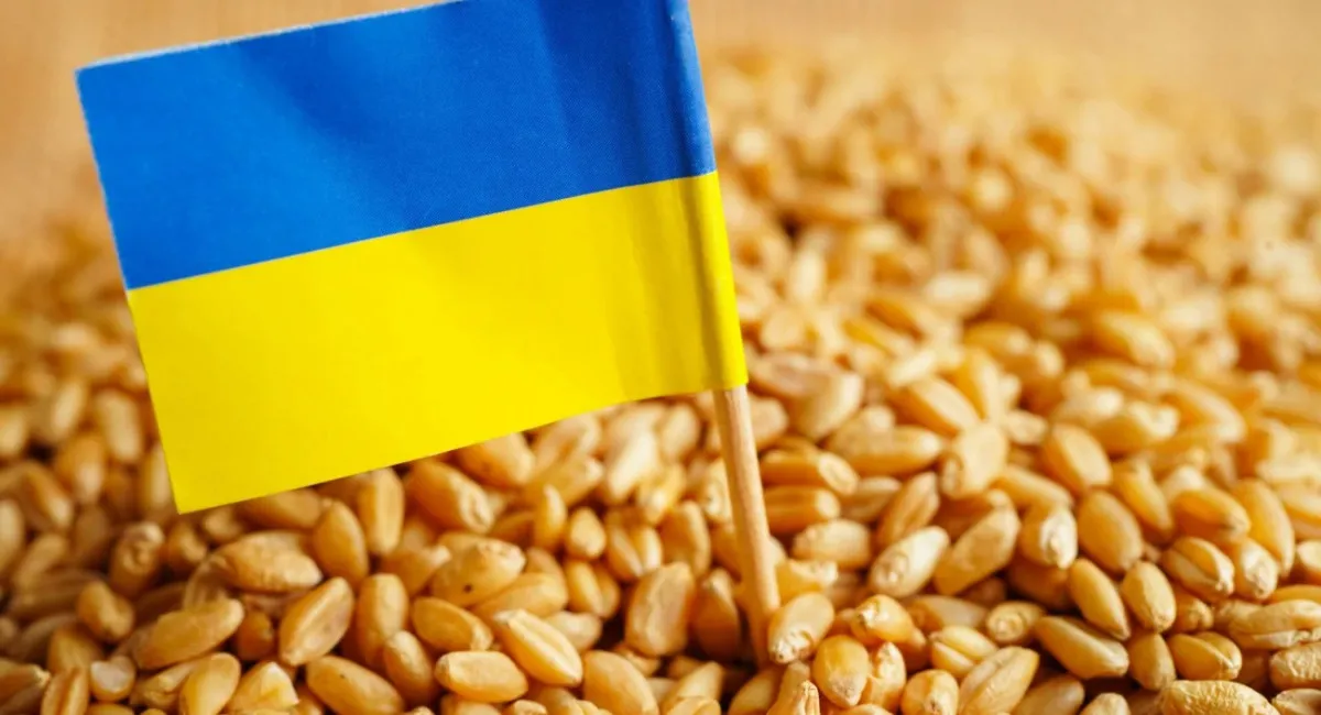 Угорщина продовжить заборону на імпорт сільгосппродукції з України, запроваджену ще …