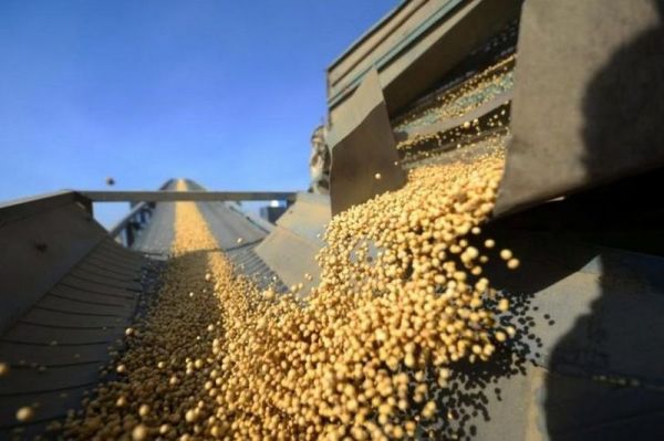 Україна з вересня переходить на європейську модель контролю за ГМО: …