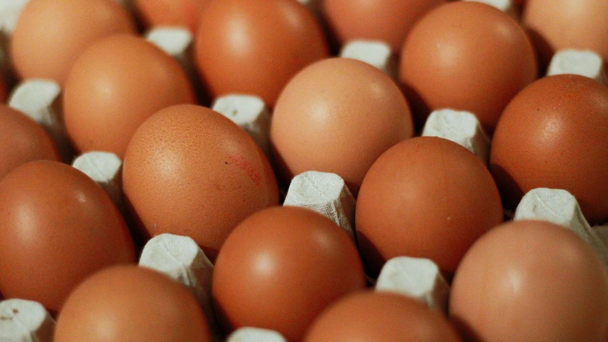 Україна у квітні експортувала рекордний за 5 років обсяг яєць