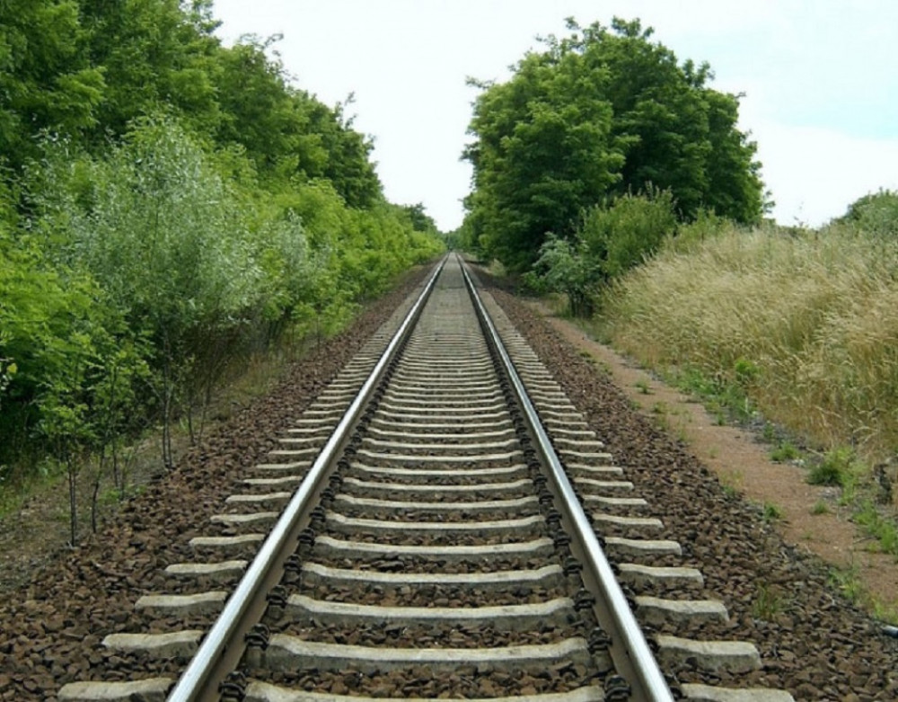 «Укрзалізниця» сплатить Городенківській громаді понад 218 тисяч гривень за вирубані …