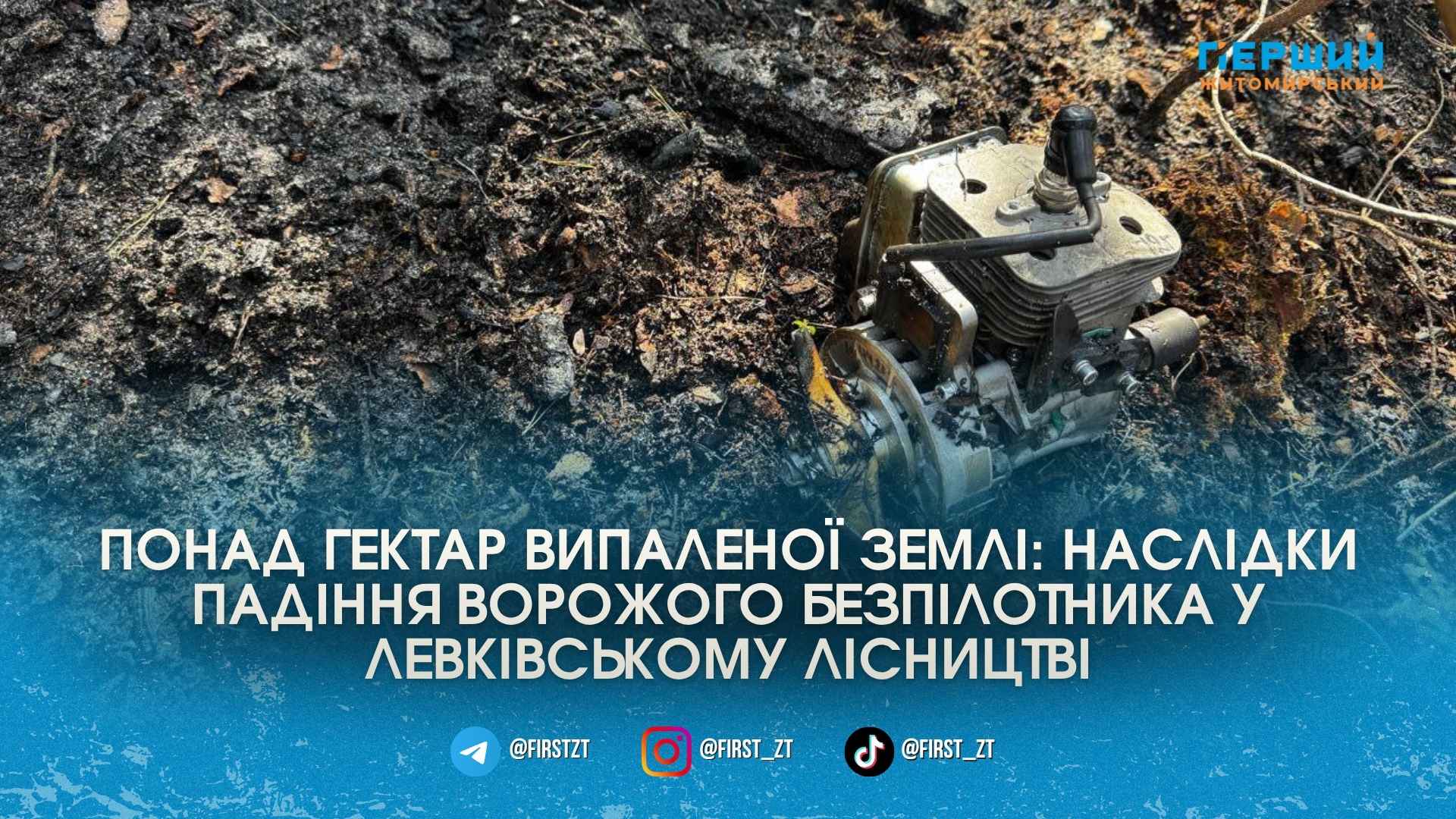 Уламки «Шахеда» підпалили ліс: у Левківському лісництві приборкували масштабну пожежу …