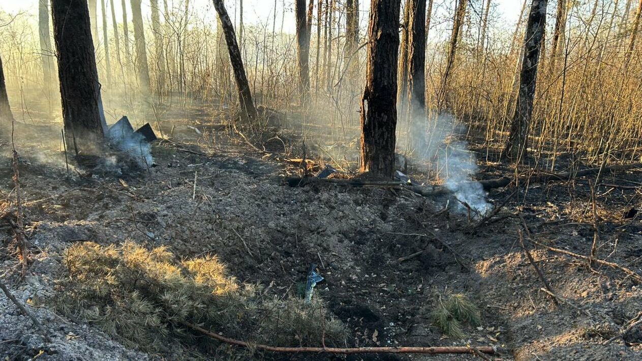 Унаслідок ворожих атак на Чернігівщині виникла найбільша лісова пожежа в …