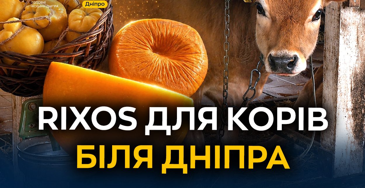 Унікальний молочний комплекс біля Дніпра: як він функціонує