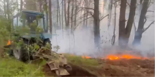 Унікальні скарби природи – під загрозою: у лісі на Волині …