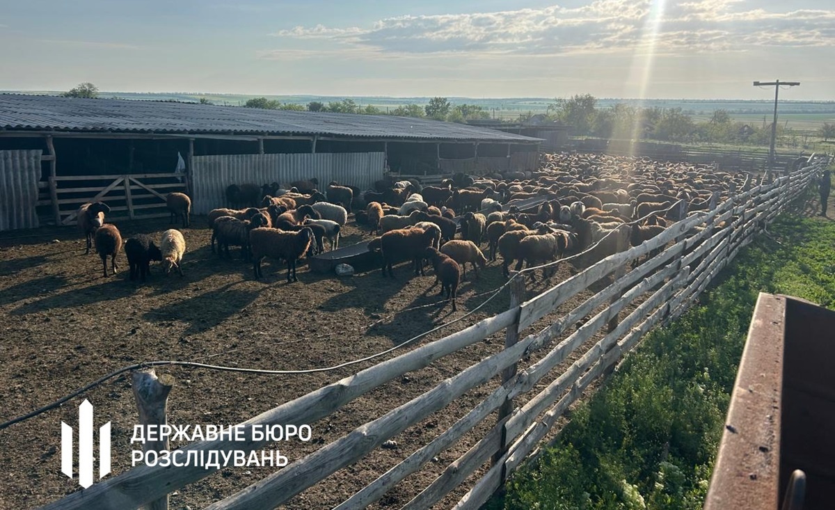 Уряд витратив 20 мільйонів на підтримку фіктивних господарств в Одеській …