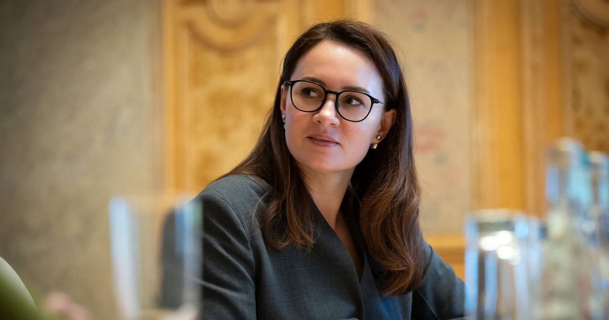 Уряд запускає проєкт «Досвід має значення» для стажування та працевлаштування …
