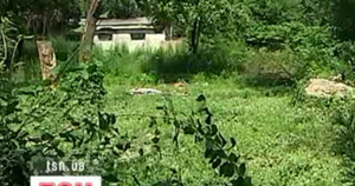 У частини українців можуть забрати городи: як не втратити землю