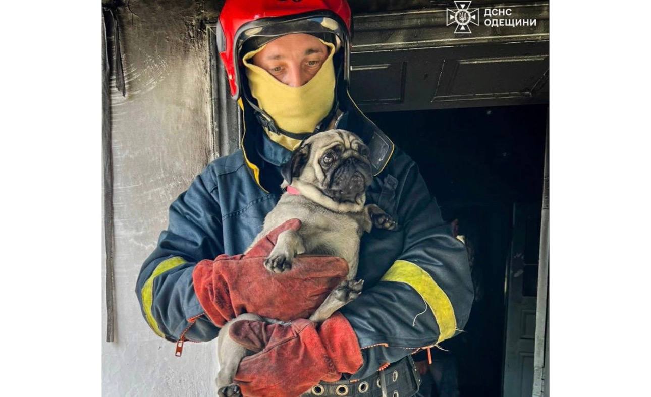 У Білгород-Дністровському районі вогнеборці врятували від пожежі будинок і собачку …