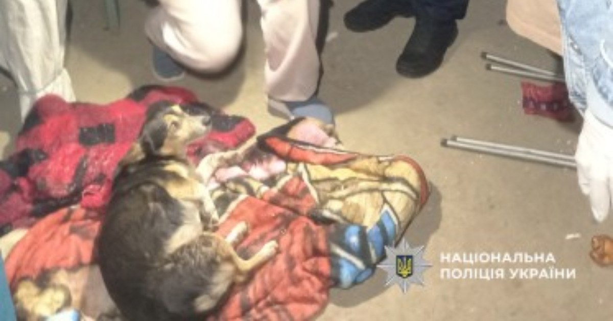 У Білгород-Дністровському районі чоловік вистрелив із мисливської рушниці у сусідського …