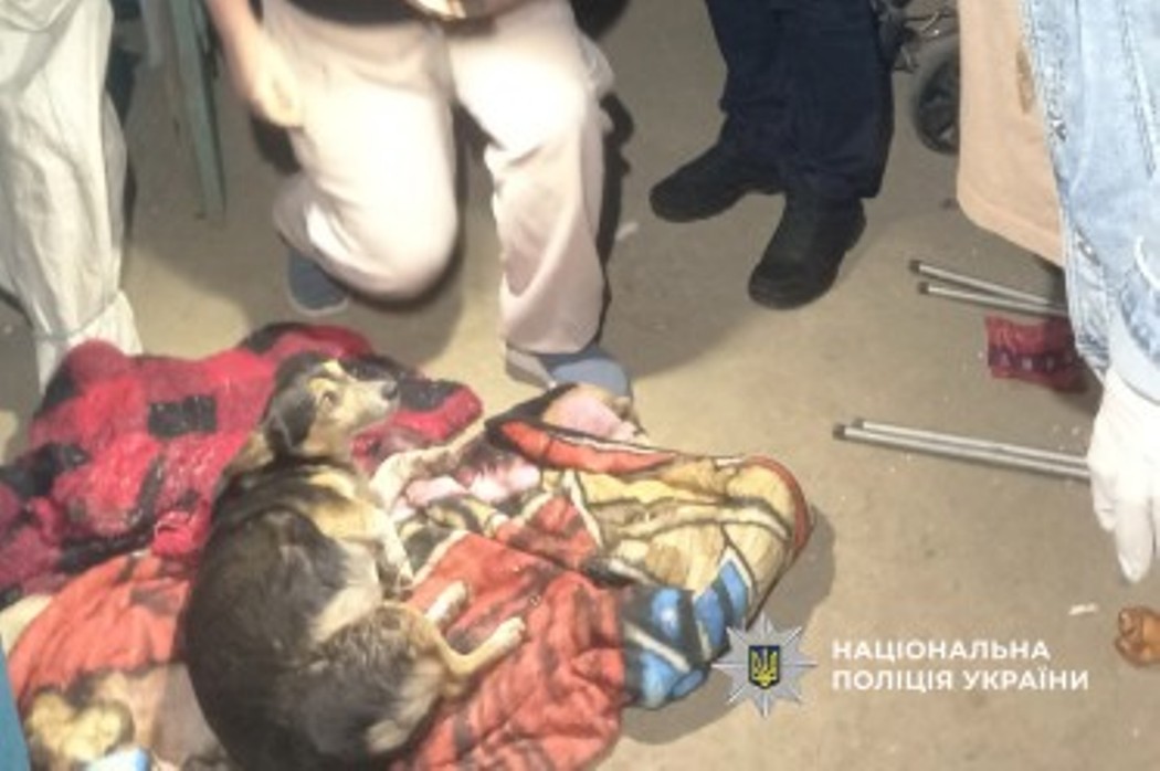 У Білгород-Дністровському районі чоловік відкрив вогонь по собаці сусідки