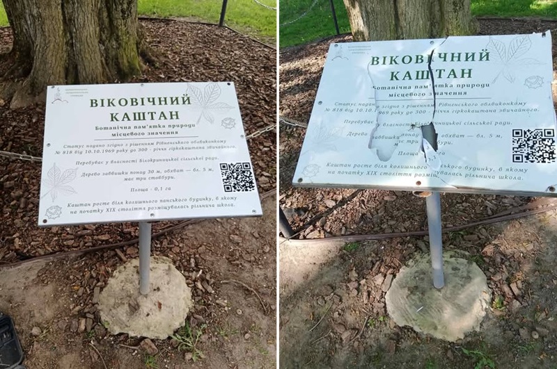У Білокриницькій громаді підліток пошкодив інформаційну табличку біля вікового каштана: …