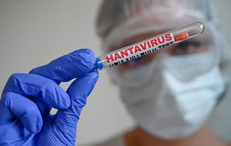 У ВООЗ закликають країни готуватися до нових випадків хантавірусу