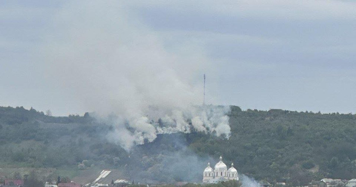 У Великих Грибовичах виникла масштабна пожежа: загорівся ліс на пагорбі