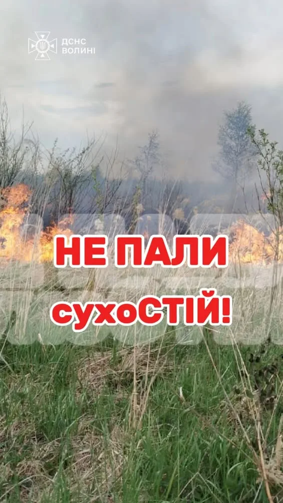 У Волинській області тривають пожежі торфу