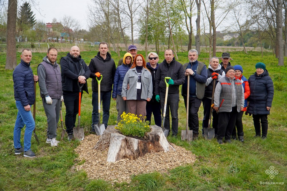 У Володимирі висадили понад 60 молодих дерев