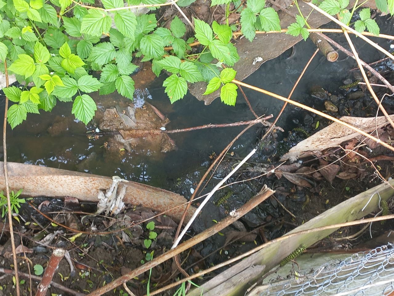У Вінниці виявили відведені стоки вигрібної ями у річку