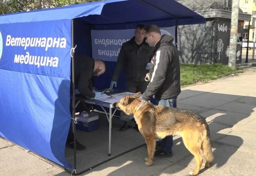 У Вінниці проводять кампанію з імунізації домашніх тварин