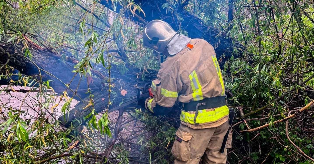 У Вінниці рятувальники звільнили проїжджу частину від поваленого дерева