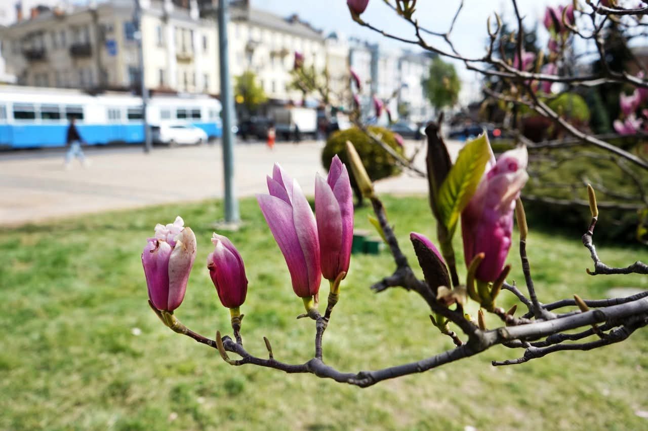 У Вінниці тривають ремонти мереж: де тимчасово відключили воду та …