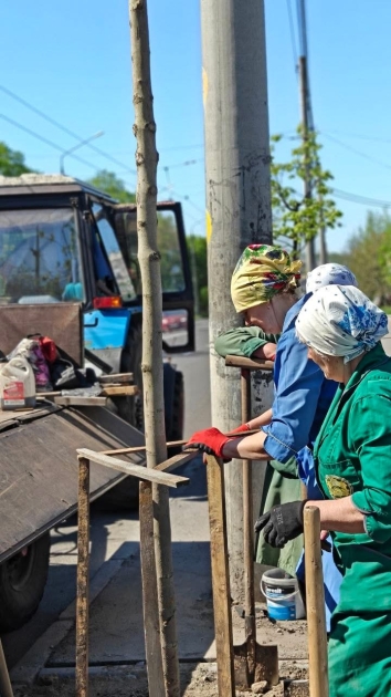 У Вінниці триває весняне озеленення: вже висаджено близько 250 дерев