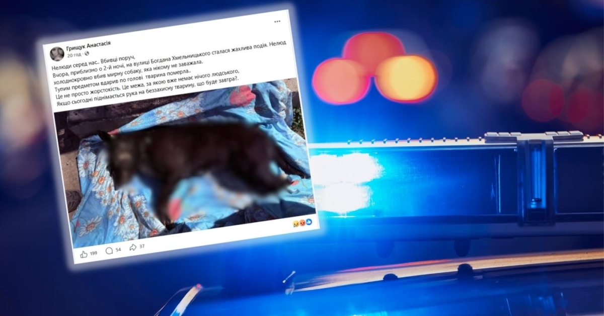 У Гнівані правоохоронці з’ясовують обставини жорстокої смерті безпритульного собаки