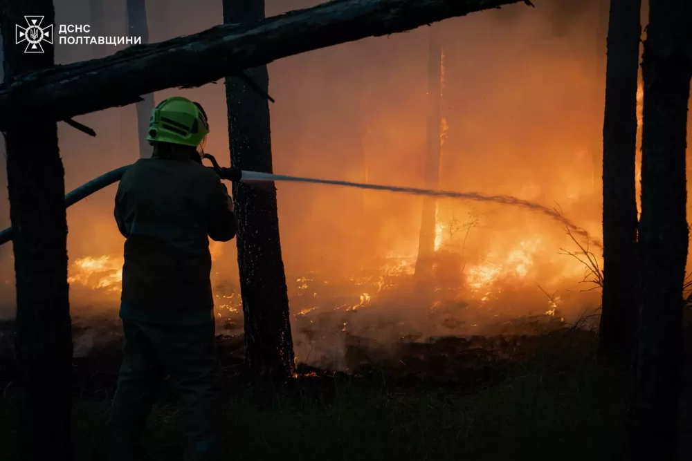 У Горішніх Плавнях горів ліс