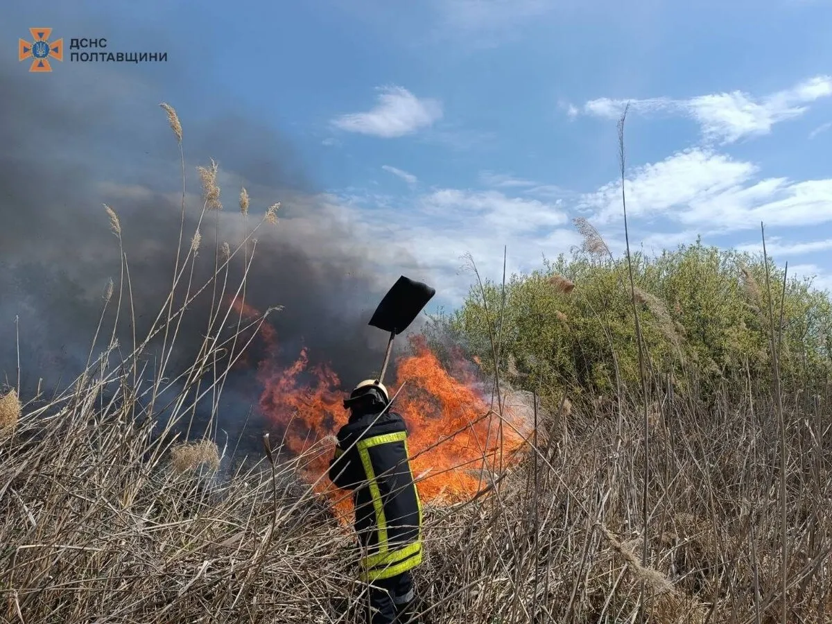 У Горішніх Плавнях за два дні сталися дві пожежі