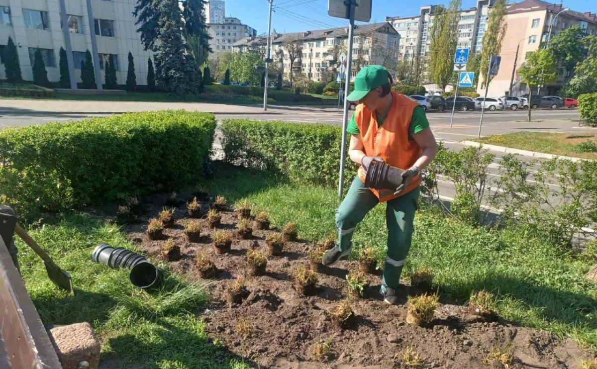 У Дніпровському районі Києва висаджують квітники «нової хвилі»